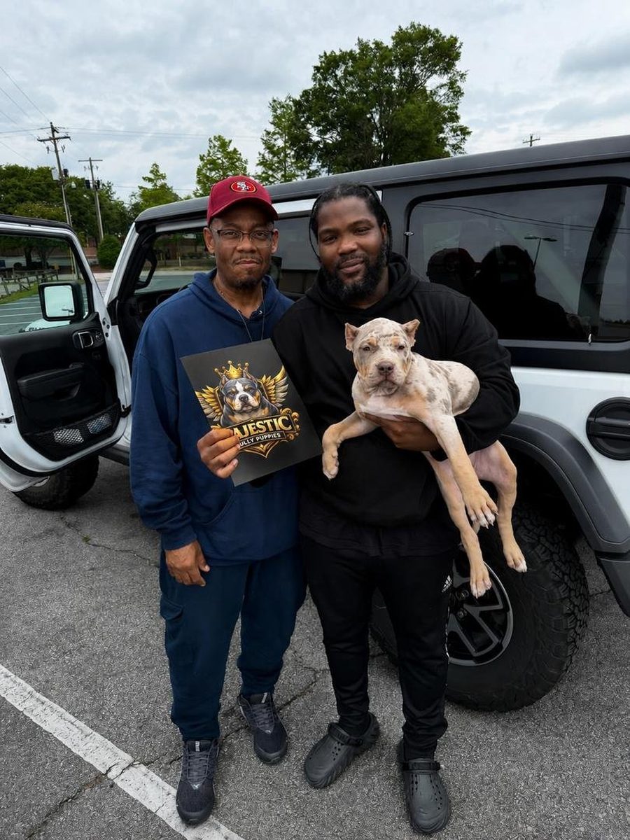 Two buyers with their merle American Bully puppy at handover