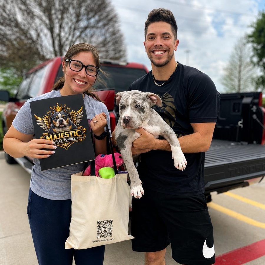 A couple collecting their merle American Bully puppy on collection day